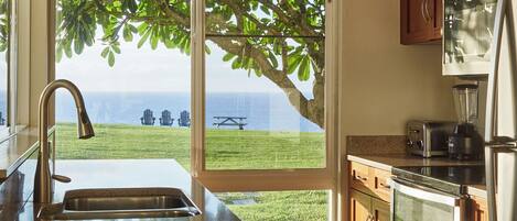 Suite Familiale, 1 très grand lit et 1 canapé-lit, non-fumeur, patio | Cuisine privée