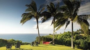 A grassy area with two Adirondack chairs and a small table, overlooking a body of water with palm trees in the background.