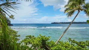 A beach with clear blue water, palm trees, and a distant shoreline.