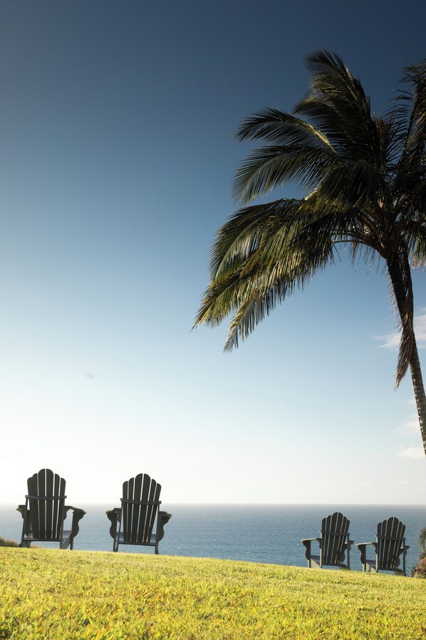 Tres sillas Adirondack mirando una playa con una palmera y vista al océano.