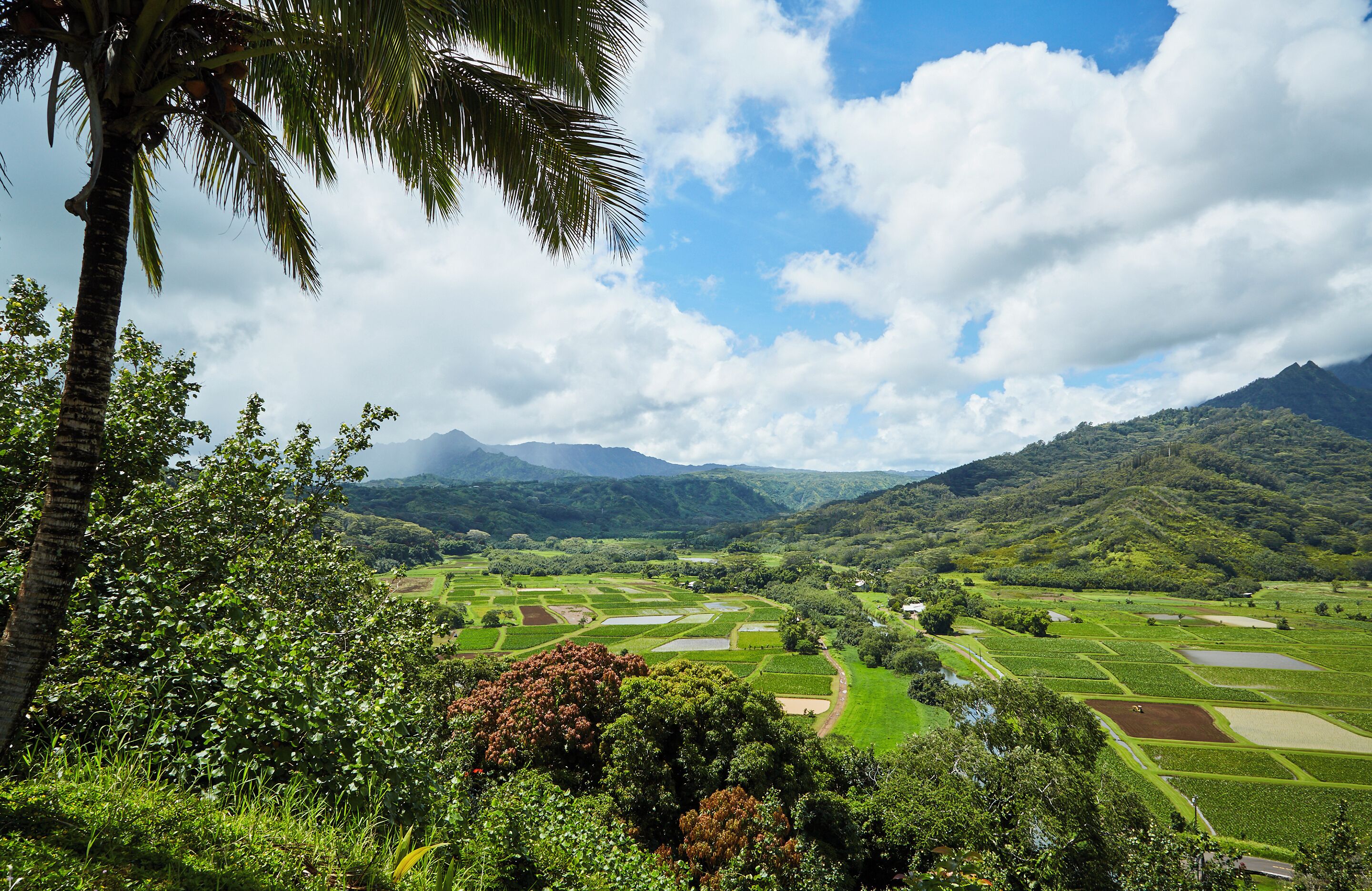 منظر من الجو على ارتفاع عالٍ