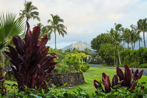 Vista da propriedade