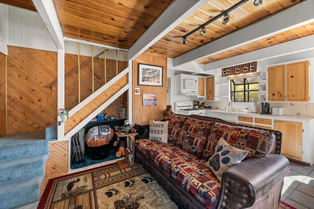 Televisor, llar de foc, videojocs i llibres 