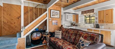 Télévision, cheminée, jeux vidéo, livres