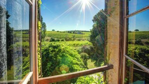 A view through a window with sunlight shining through, revealing a lush green landscape with trees and fields. - La Levaille - Four Bedroom Villa, Sleeps 8 (Landerrouat)