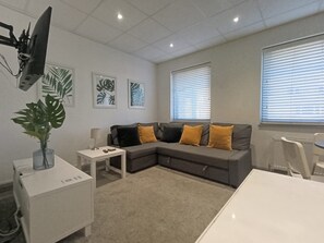 TV - Open Mind Property - Spacious 2BR Flat City Views (Portsmouth)