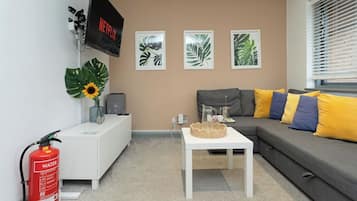 Fernseher
