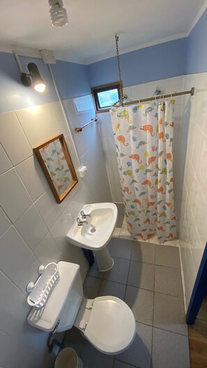 Regadera, jabón, papel de baño 