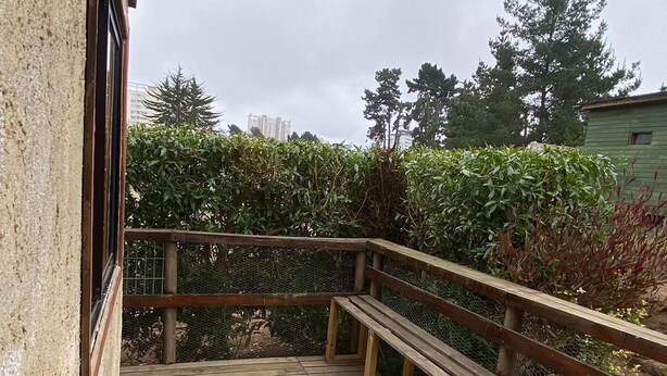 A wooden deck with a metal railing, a bench, and a view of trees and buildings in the background.