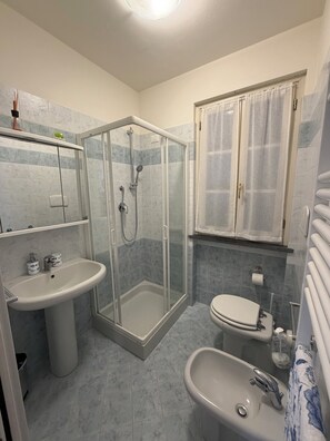 Shower, hair dryer, bidet, towels