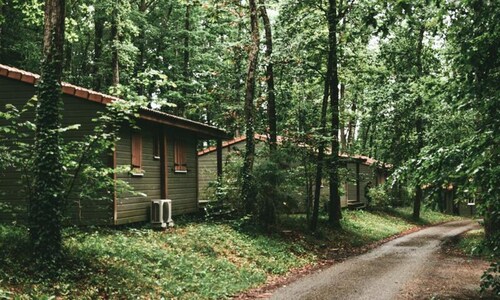 3-room Chalet for 4 People With Reduced Mobility