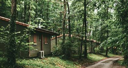 3-room Chalet for 4 People With Reduced Mobility