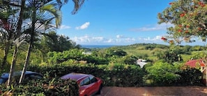 Property grounds - Bungalow Corossol (Rivière-Salée)