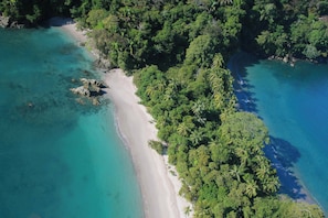 An aerial view of a beach with clear turquoise waters, surrounded by dense green foliage and palm trees. - Villa Zest 4 bedroom Villa • Rooftop Infinity Pool & Ocean Views (manuel antonio)