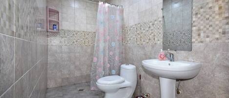 Hair dryer, towels, soap, toilet paper