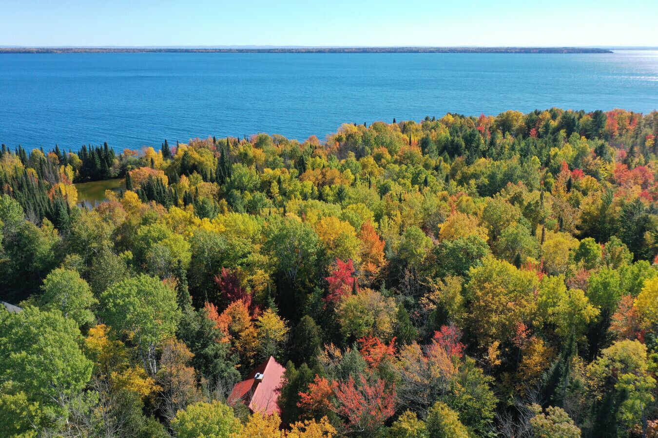 An aerial view of a forested area with a lake and a house with a red roof.