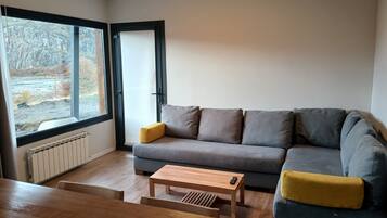 A living room with a grey sofa, a wooden coffee table, and a view through a large window.