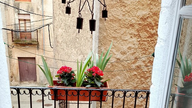 Un balcón con un adorno de sol, plantas en macetas y vista a un edificio con tejado de tejas.