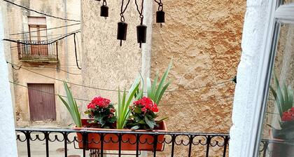 Medieval house Cal Moliner
