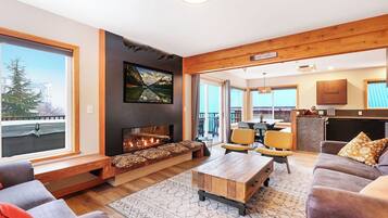TV, fireplace