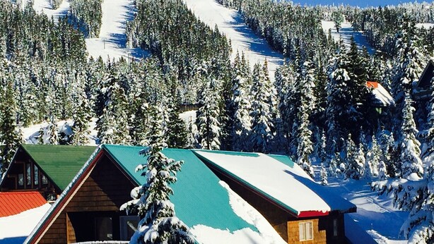 Una cabaña de madera con techo verde, rodeada de árboles cubiertos de nieve y una montaña al fondo.