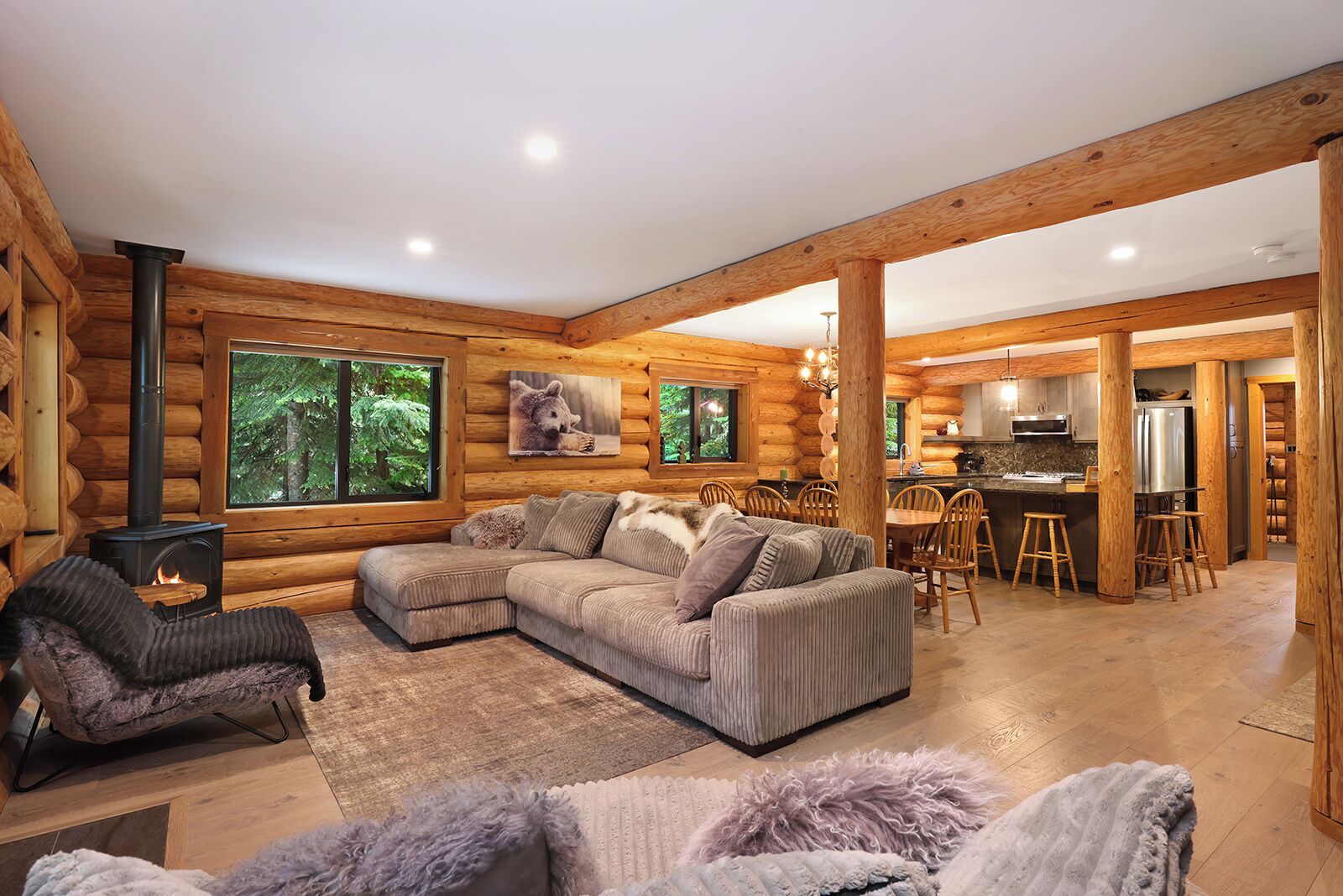 تلفزيون، مدفأة