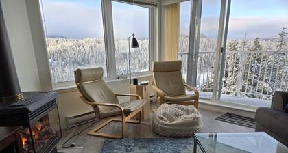 Blueberry Vista - 2 bedroom condo