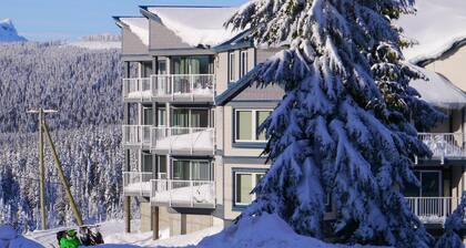 Strathcona Views - Blueberry