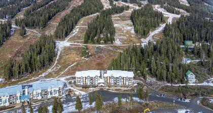 Bear Paws Suite - hot tub!