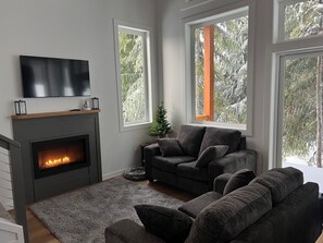 TV, fireplace