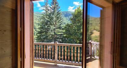 Beautiful wooden apartment - in the heart of the Queyras Natural Park - Aiguilles