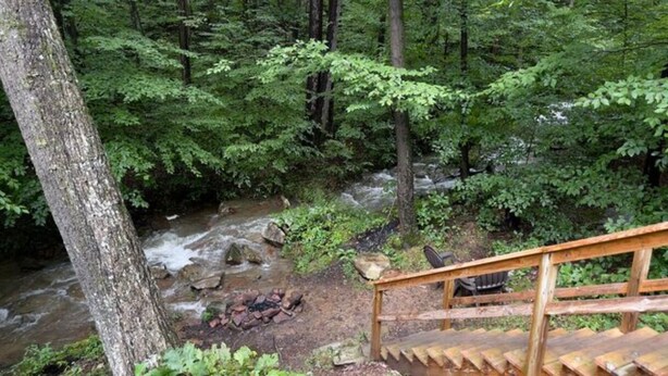 Un escalier en bois descend vers un ruisseau rocheux, bordé d’une végétation luxuriante.