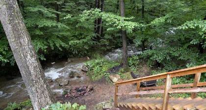 The Black Bear Cabin