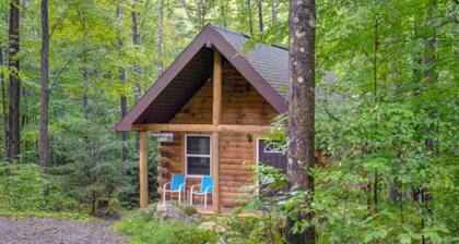 The Mountaineer Cabin