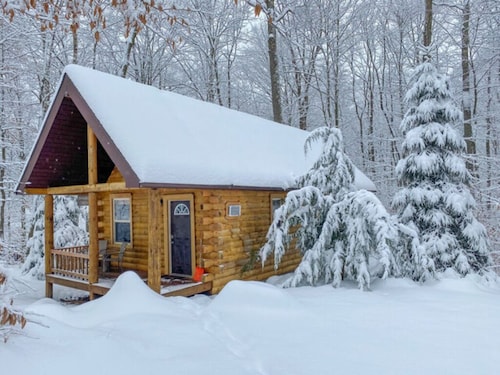 The Shawnee Cabin w/ Queen Bed