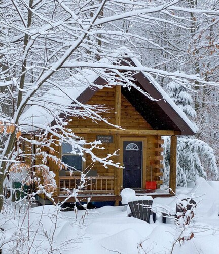 The Shawnee Cabin w/ Queen Bed