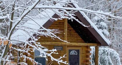 The Shawnee Cabin w/ Queen Bed