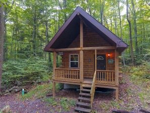 Una baita di legno con veranda e una scala, immersa in una foresta.