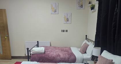 Are you ready for the ultimate road trip