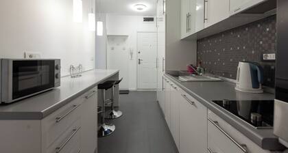 Central Studio Apartments