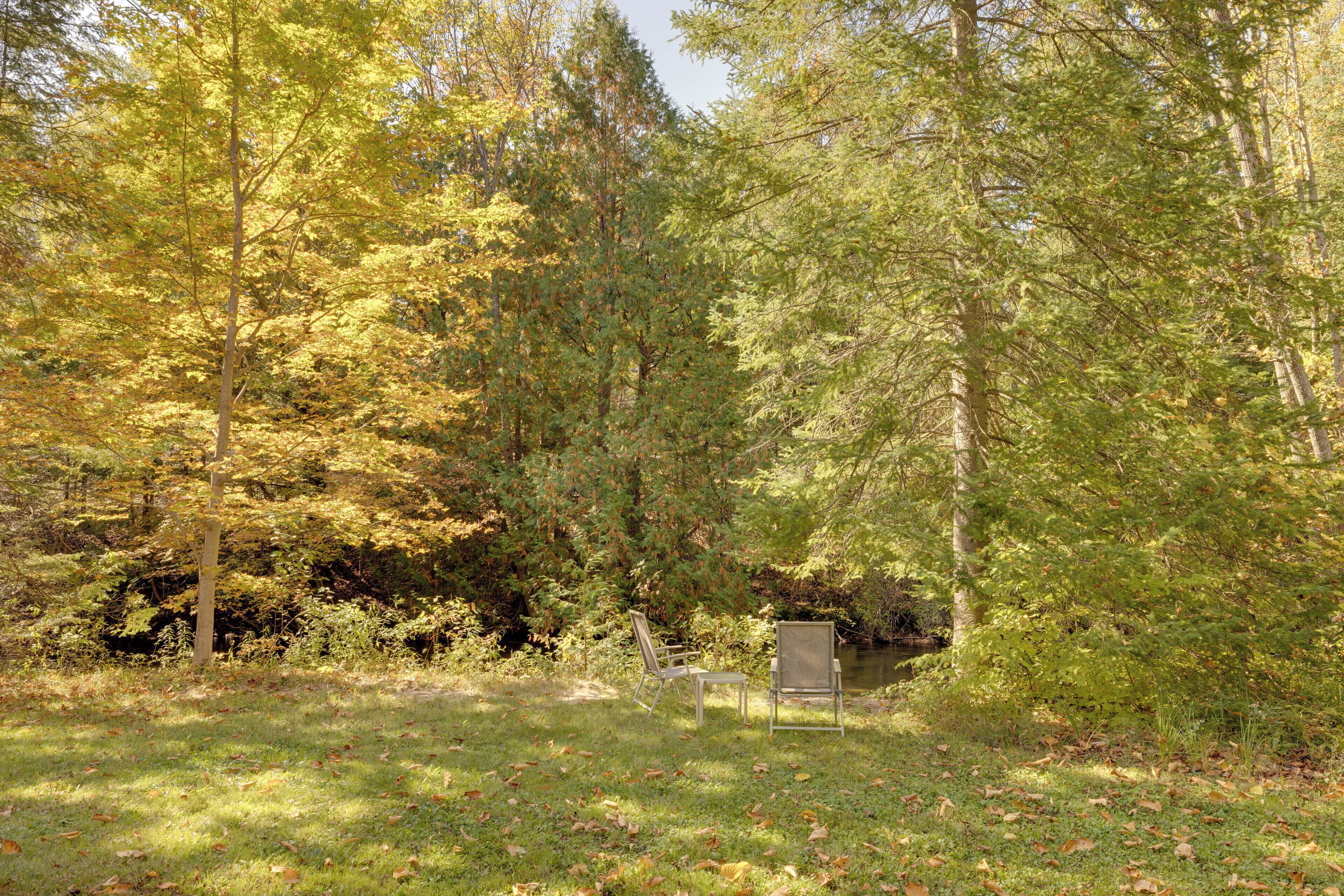 Eine friedliche Außenansicht mit zwei Metallstühlen in der Nähe eines kleinen Baches, umgeben von dichtem Baumbestand und einer grünen Wiese.