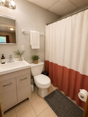 Secadora de cabello, toallas, jabón, papel de baño 