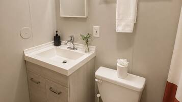Hair dryer, towels, soap, toilet paper