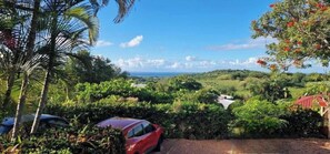 Property grounds - Bungalow Carambole (Rivière Salée)