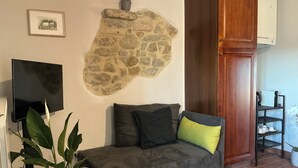 Een woonkamer met een stenen muur, een grijze bank met kussens, een flatscreen televisie, een houten kast en een plant.