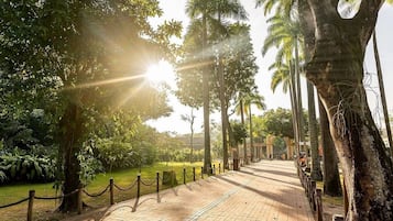 Studio | Property grounds