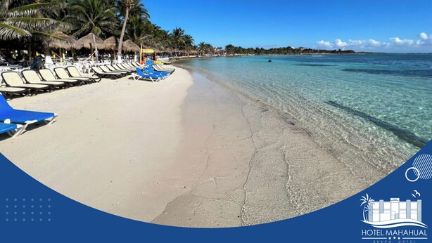 Una playa con aguas turquesas cristalinas, palmeras y sillas de descanso.