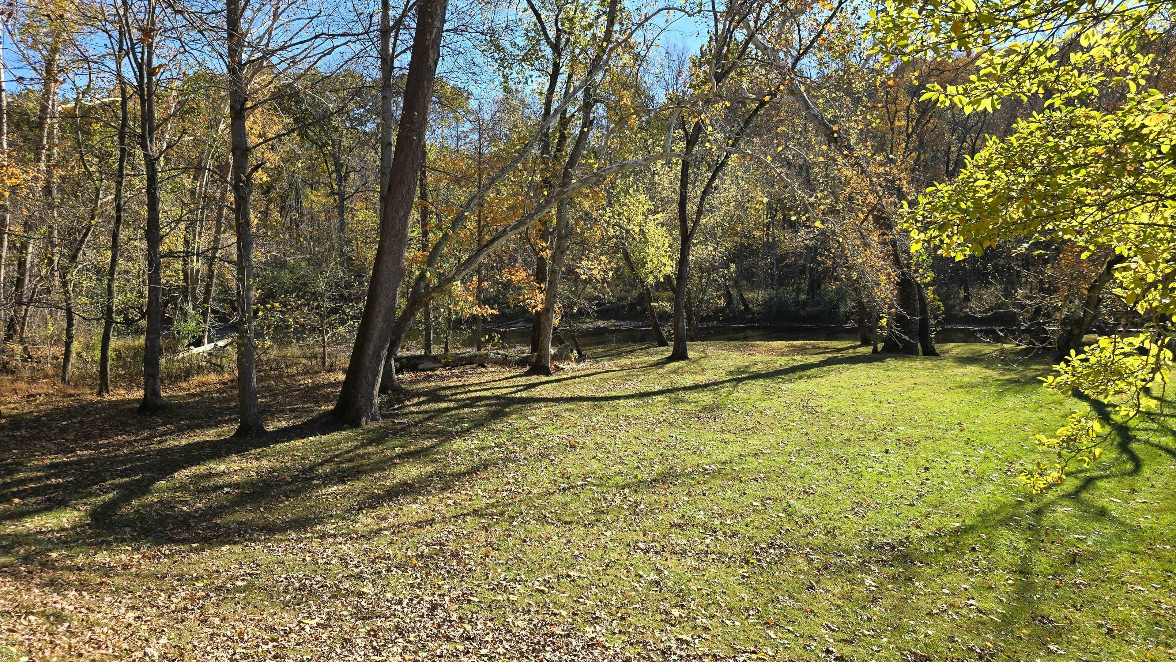 Une zone boisée avec un sentier herbeux et des arbres aux feuilles d’automne.