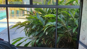 Una habitación con un ventanal que da a una piscina y abundante vegetación.