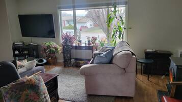 智能电视、壁炉